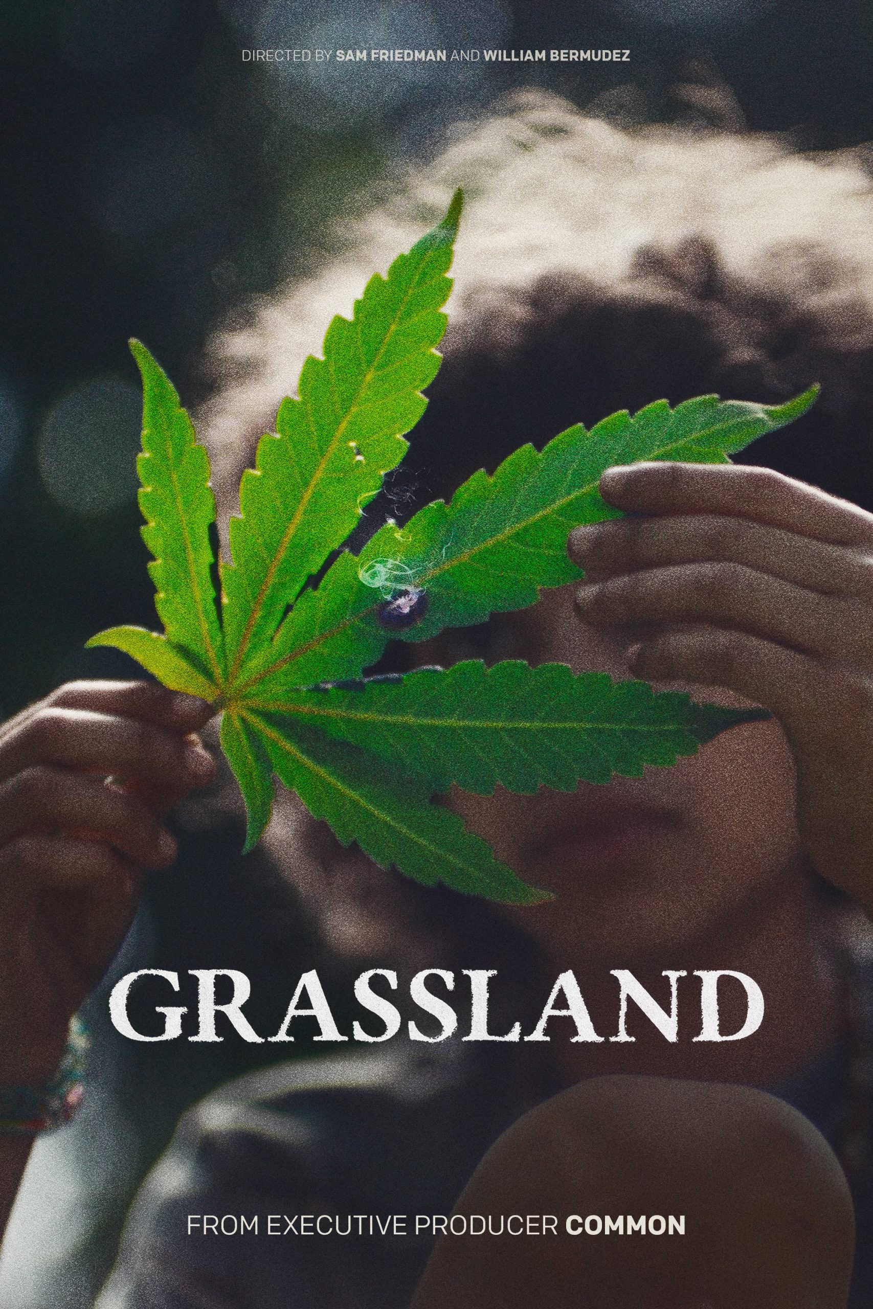 فيلم Grassland 2024 مترجم